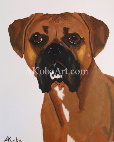 Boxer