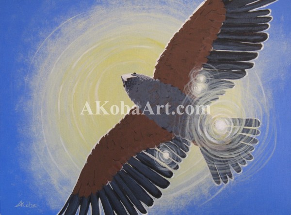 Harris Hawk in Sunlight
