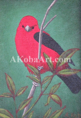 Little Red Bird